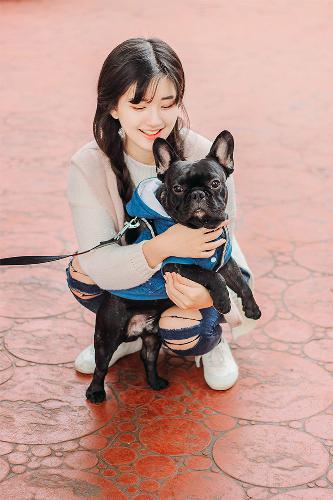 偷偷藏不住电视剧免费观看完整版高清