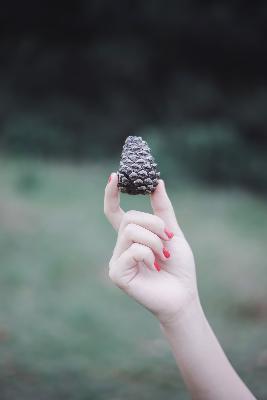 香蜜沉沉烬如霜电视剧在线观看免费版